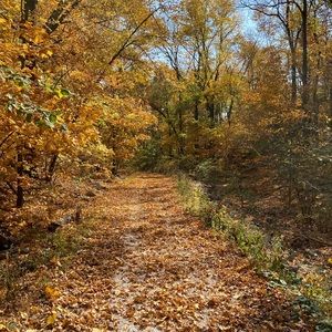 Meet your Posher, Cody